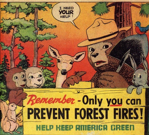 smokey bear ad