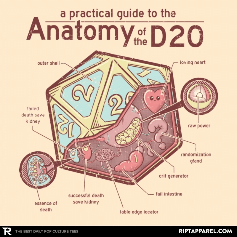 Anatomy of the D20