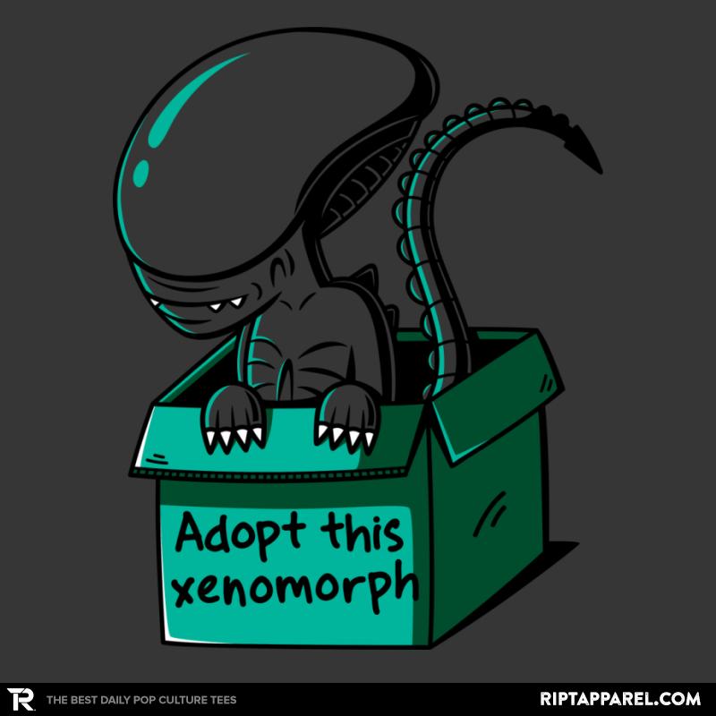 Adopt This Morph