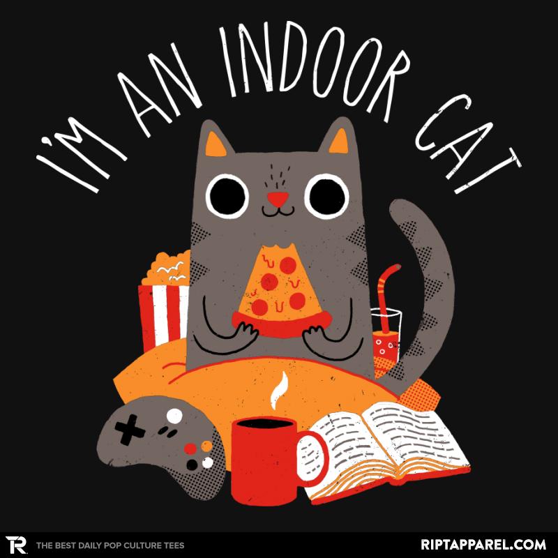 Indoor Cat