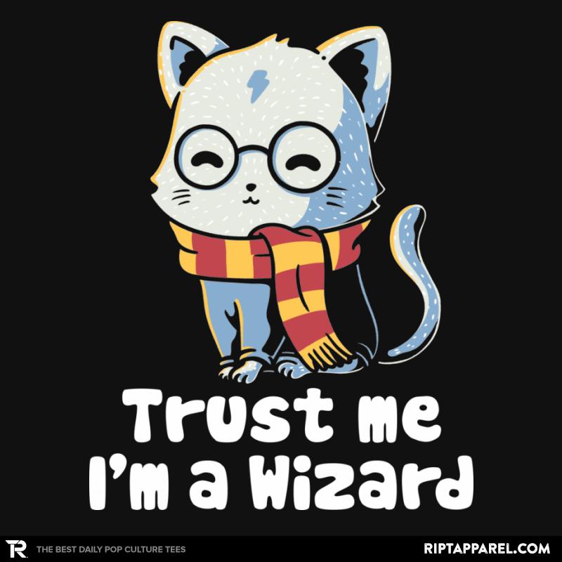 Trust me I'm a wizard