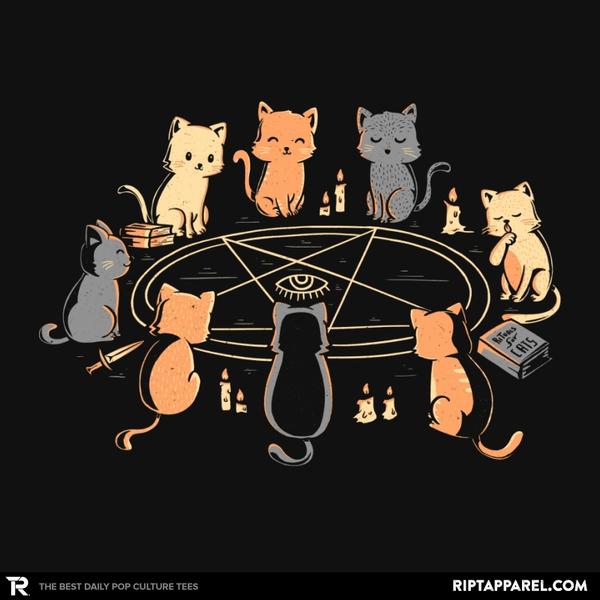 Cat Ritual