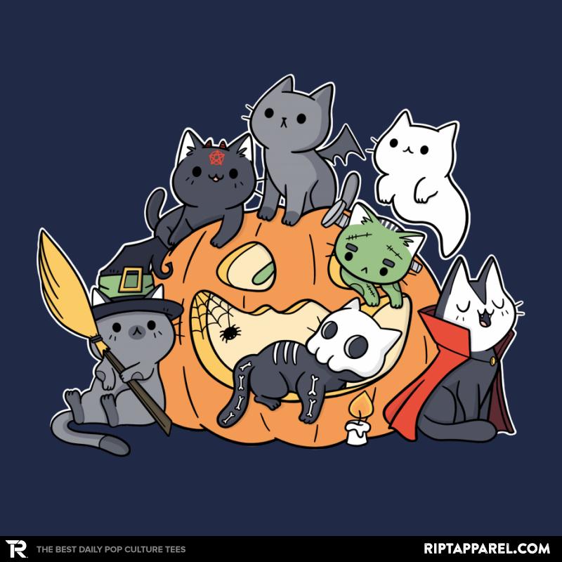 Halloween Kittens