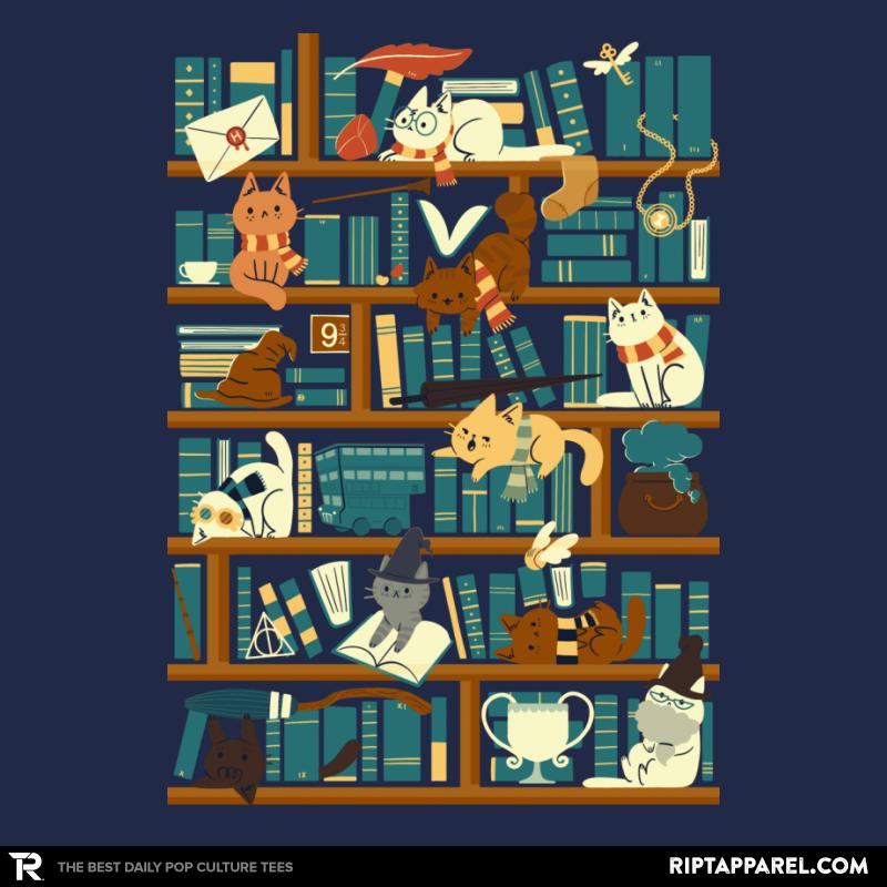 Library Magic School