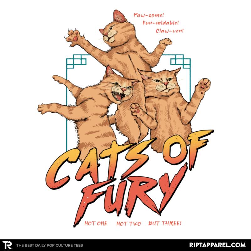 Cats of Fury!